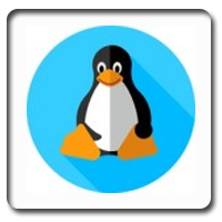 Laptop Linux Kurulum